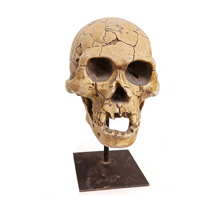 Retro fossil-patterned skull figurine